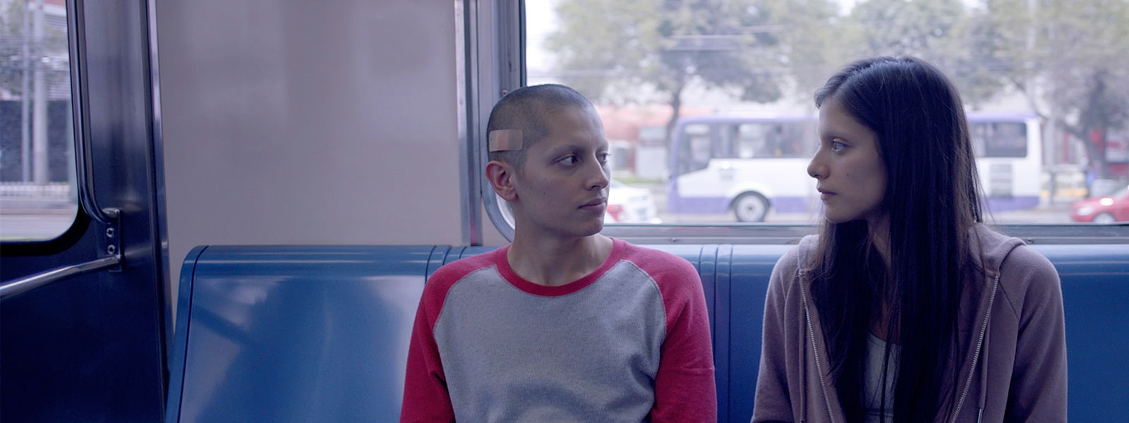 50 o Dos Ballenas se Encuentran en la Playa