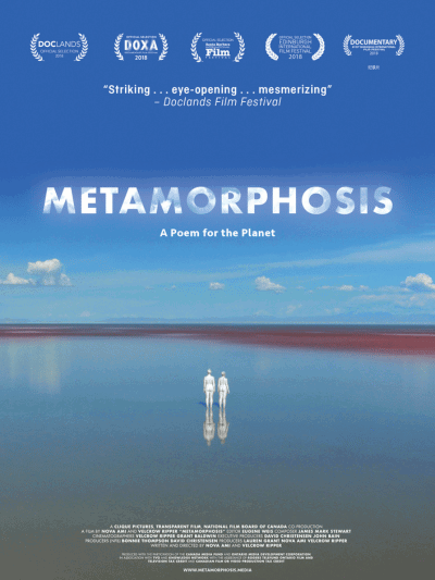 Metamorphosis