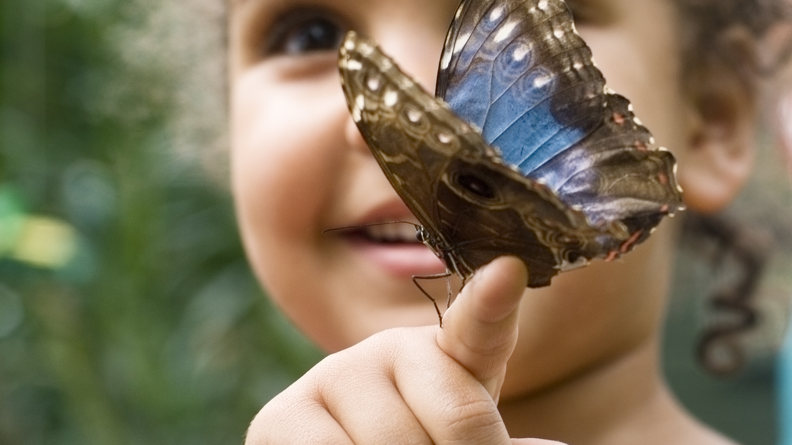 Adaptabilidad, Calma y Gratitud