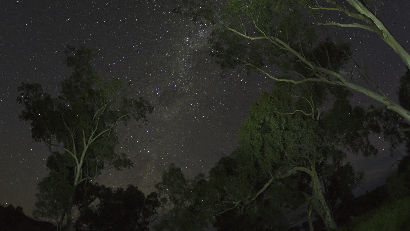 Gales – Galicia – Parque Nacional Canaima
