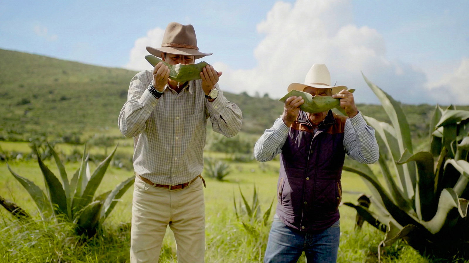 Tierra de oportunidades