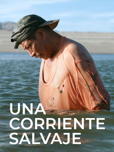 Una corriente salvaje